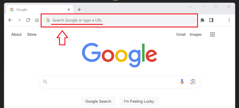 What is “Search Google or type a URL”? Chrome Omnibox?