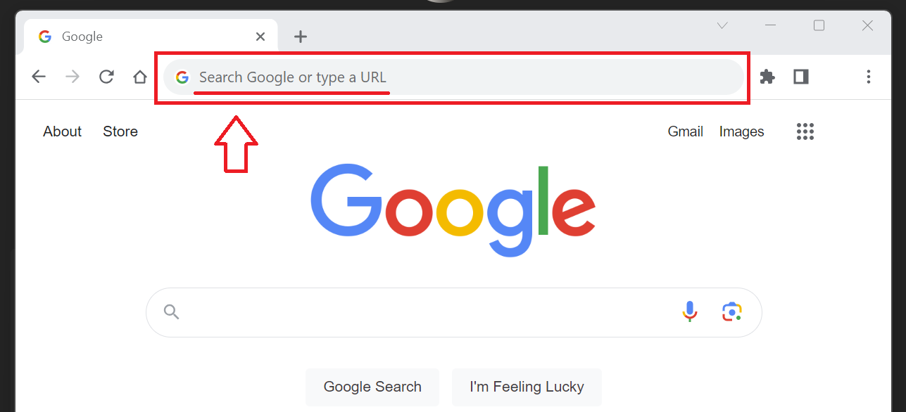 Search Google or Type a URL in Google Chrome Omnibox